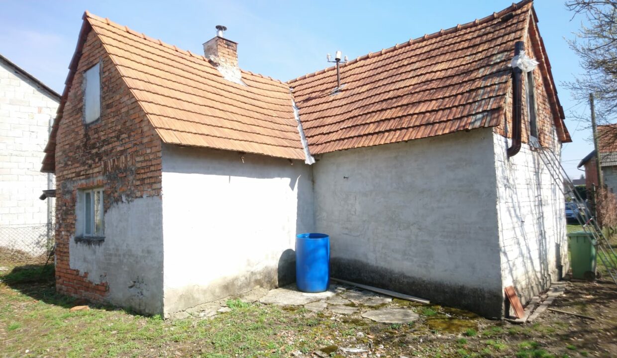 IMG-20190325-WA0008