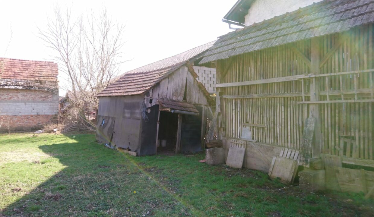 IMG-20190325-WA0009