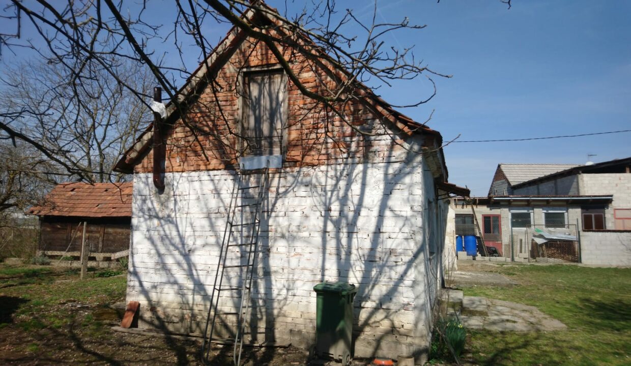 IMG-20190325-WA0012